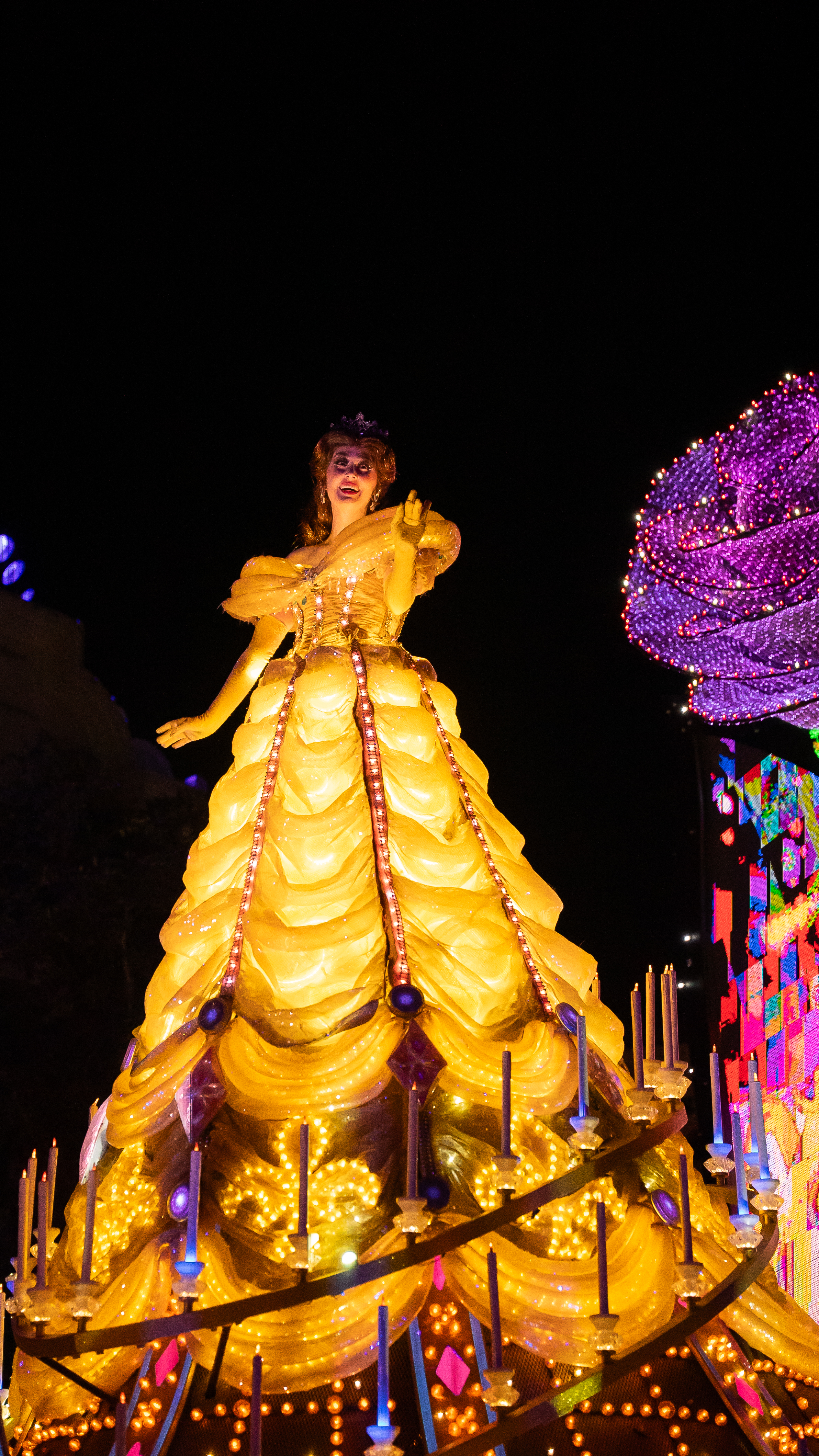 Disneyland Photo 6